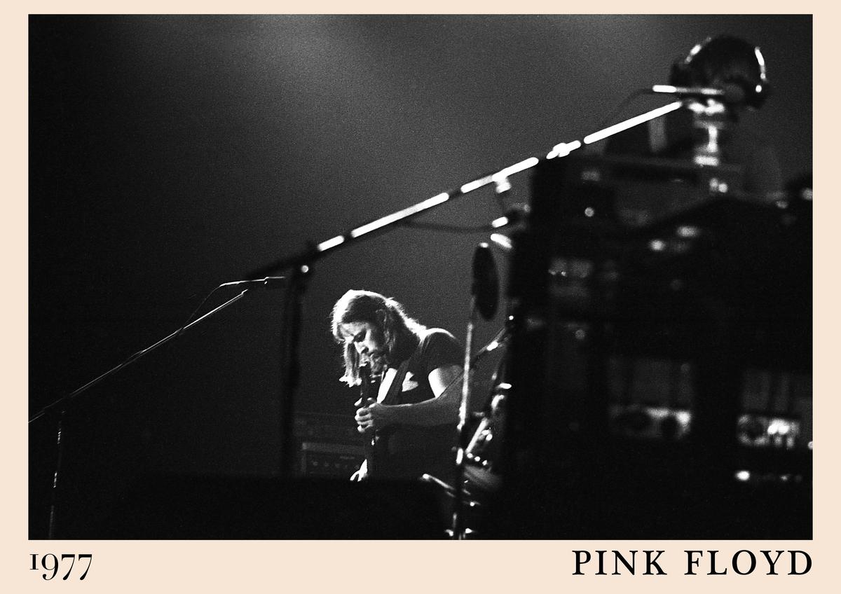 Poster featuring a black and white photo of Pink Floyd performing live on stage in 1977, beige border, vintage retro concert
